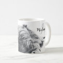 Search for white face cow mugs Animal