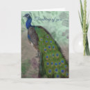 Search for peacock cards Thinking of you