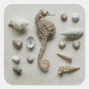 Search for pictures of shells stickers Waves