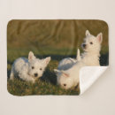 Search for west highland terrier blankets Animal