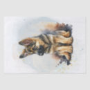 Search for german shepherd tissue paper Animal