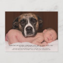 Search for funny birth announcement cards Cute
