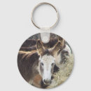 Search for mule key rings Donkey