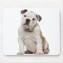 Search for bulldog mousepads Nature
