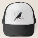 Search for blackbirds hats Crow