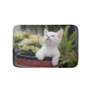 Search for scale photography Domestic animals