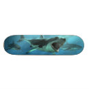Search for attacks skateboards Shark attack