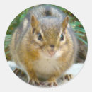 Search for cute eye stickers Adorable