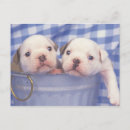 Search for often cards invites Cute