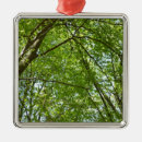 Search for spring green christmas tree decorations Leaves