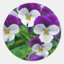 Search for tiny stickers Garden