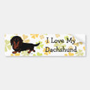 Search for sausage dog bumper stickers Dachshund