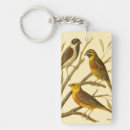 Search for background backgrounds key rings Tree