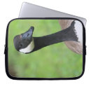 Search for goose cases Nature