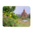 Search for pagan magnets Tower