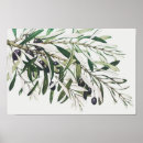 Search for olive posters Illustration
