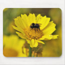 Search for bumblebee mousepads Nature