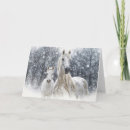 Search for colt christmas cards Foal
