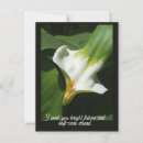 Search for calla postcards Floral