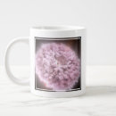 Search for astrophysics mugs Cosmology