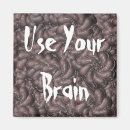 Search for brain magnets Anatomy