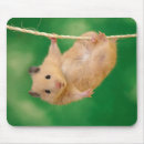 Search for hamsters mousepads Cute