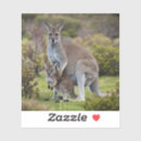 Search for australian kangaroo stickers Animal