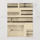 Search for 1906 postcards White