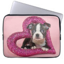 Search for getty electronics Puppies