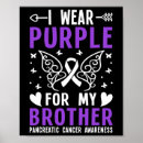 Search for my brother posters Awareness