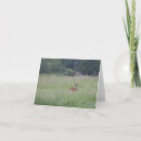 Search for tall cards Animal