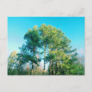Search for isolated postcards Landscape