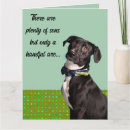 Search for funny dog thanksgiving cards Animal