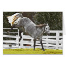 Search for equine image cards Farm