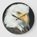 Search for white feather clocks Brown