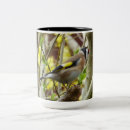 Search for birdfeeder mugs Birds