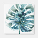 Search for botanical square magnets Tropical leaves