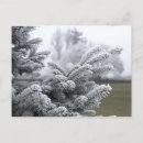 Search for love snow postcards Nature