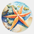 Search for round starfish stickers Marine