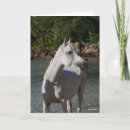 Search for bob cards Animal