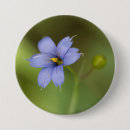 Search for blue wildflower badges Floral