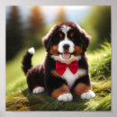 Search for berner posters Puppy