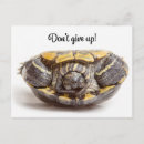 Search for upside postcards Cute