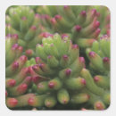 Search for plant stickers Unique