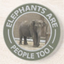 Search for elephants coasters Zoo