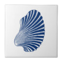 Search for scallop shell tiles Seashells