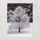 Search for countryside christmas cards Cold