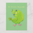 Search for budgie parakeet postcards Parrot