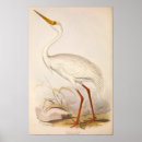 Search for victorian era posters Vintage