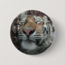 Search for sleeps badges Tired